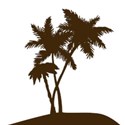 palm tree