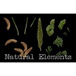Nature Elements Nature Elements