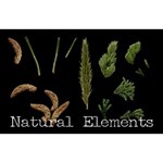 Nature Elements