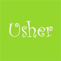 cufflink citrus green usher