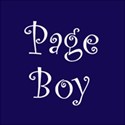 cufflink navy page boy