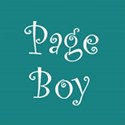 cufflink teal page boy