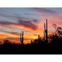 arizonasunset