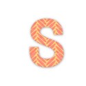 s1