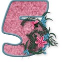 mmp_aroseisarose_alpha_5