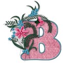 mmp_aroseisarose_alpha_b