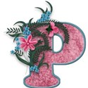 mmp_aroseisarose_alpha_p