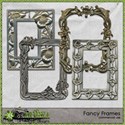 armina_fancy_frames1