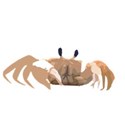 crab