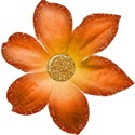 flower1