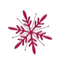 snowflake7