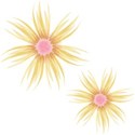 Embellishment