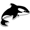 killer whalesticker