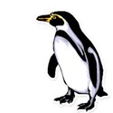 penquin2sticker