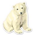 polar bear arctic