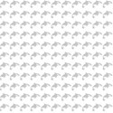killer whale paper2