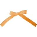 Orange bow