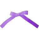 Purple bow