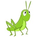 grasshopper