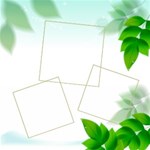 Spring Leaf Theme  kits