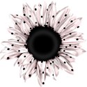 katemcclellan_hatbox_polka dot flower