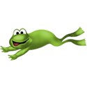 frog2