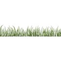 grass3
