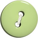 button1