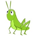 grasshopper