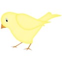 bird3