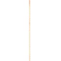 DZ_February_YIP_border