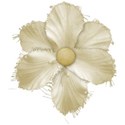 stierney_atouchofclass_flower1