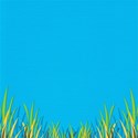 albumstoremember_crazygrass_byb