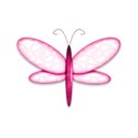 pink butterfly