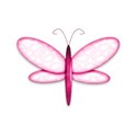 pink butterfly