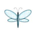 blue butterfly