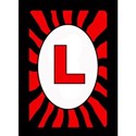 1 RED copia 11