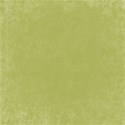 ajsmith-bnp-solidgreen