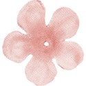 LHank_Blossom_flower3