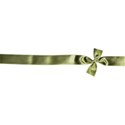 LHank_Blossom_ribbon2