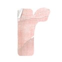 LHank_Cherryblossom_alpha_r