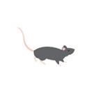 mouse2