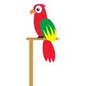 parrot