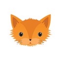 cat2