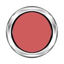 silverframe