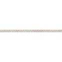 _ribbon2