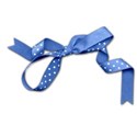 schua_springwardrobe_ribbon3 copy