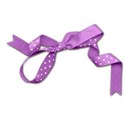 schua_springwardrobe_ribbon5 copy