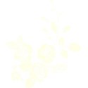 Embellishment