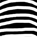 large zebra print paper